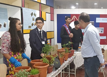 Language and communication skills